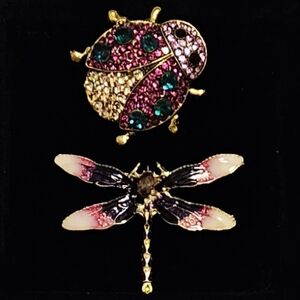 Ladybug and Dragonfly Brooch Bundle